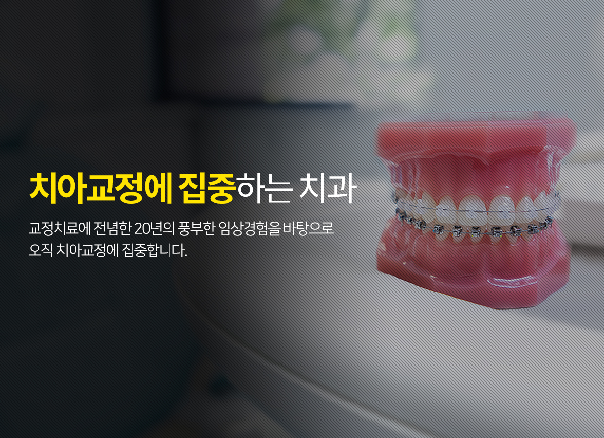 치아교정에 집중하는 치과